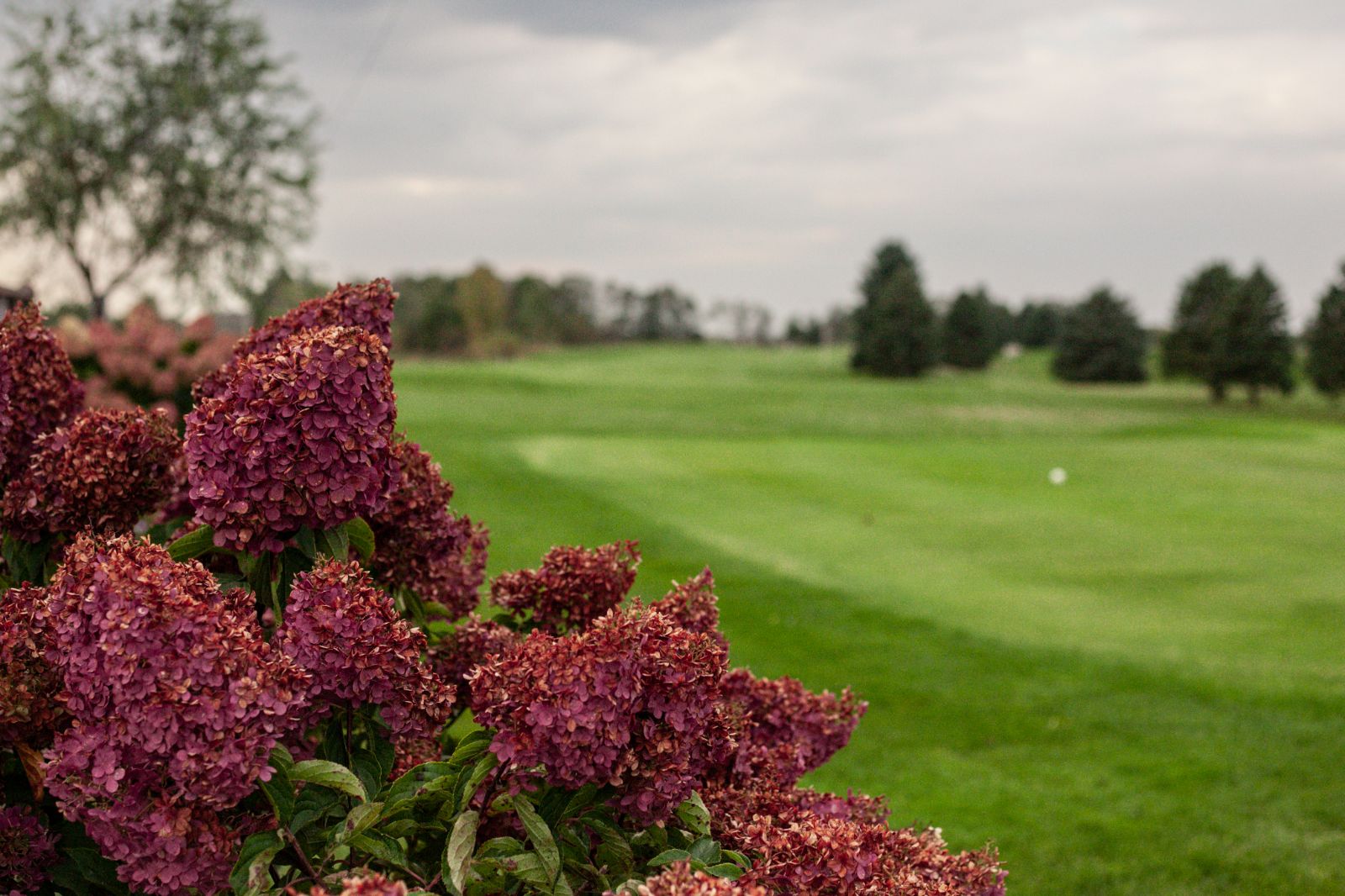 RESERVE YOUR TEE TIME